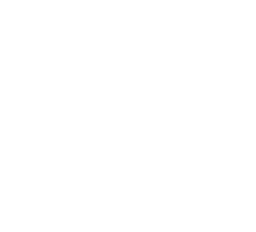 Noodri Icon
